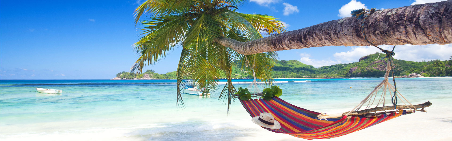 Start Your Adventure Today