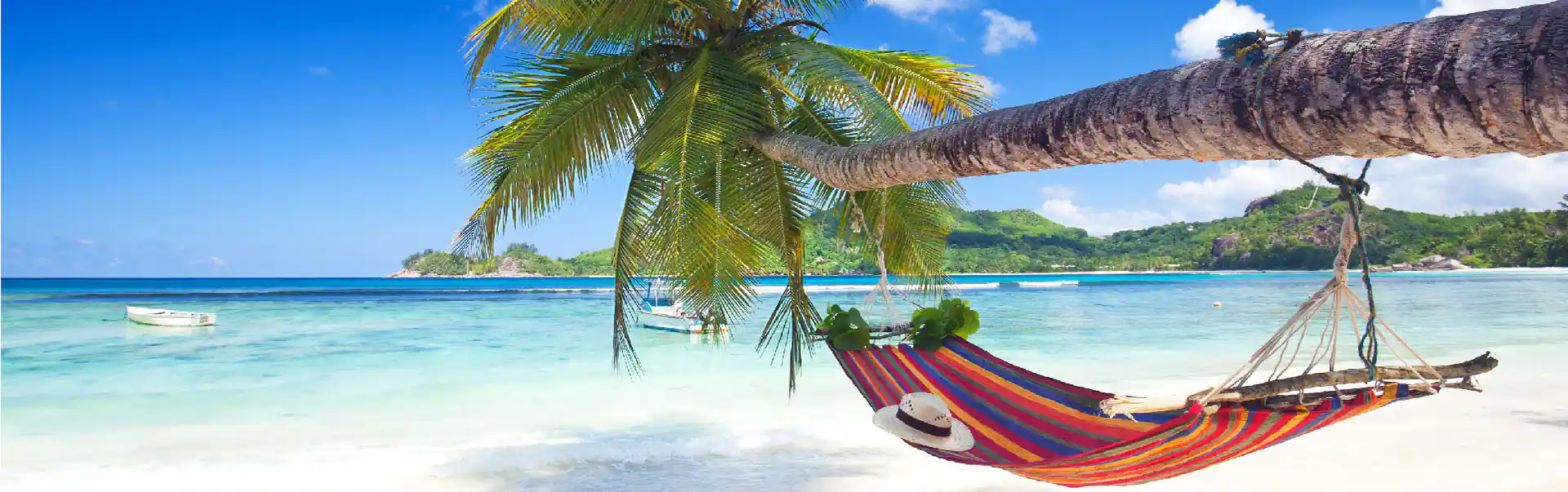 Start Your Adventure Today